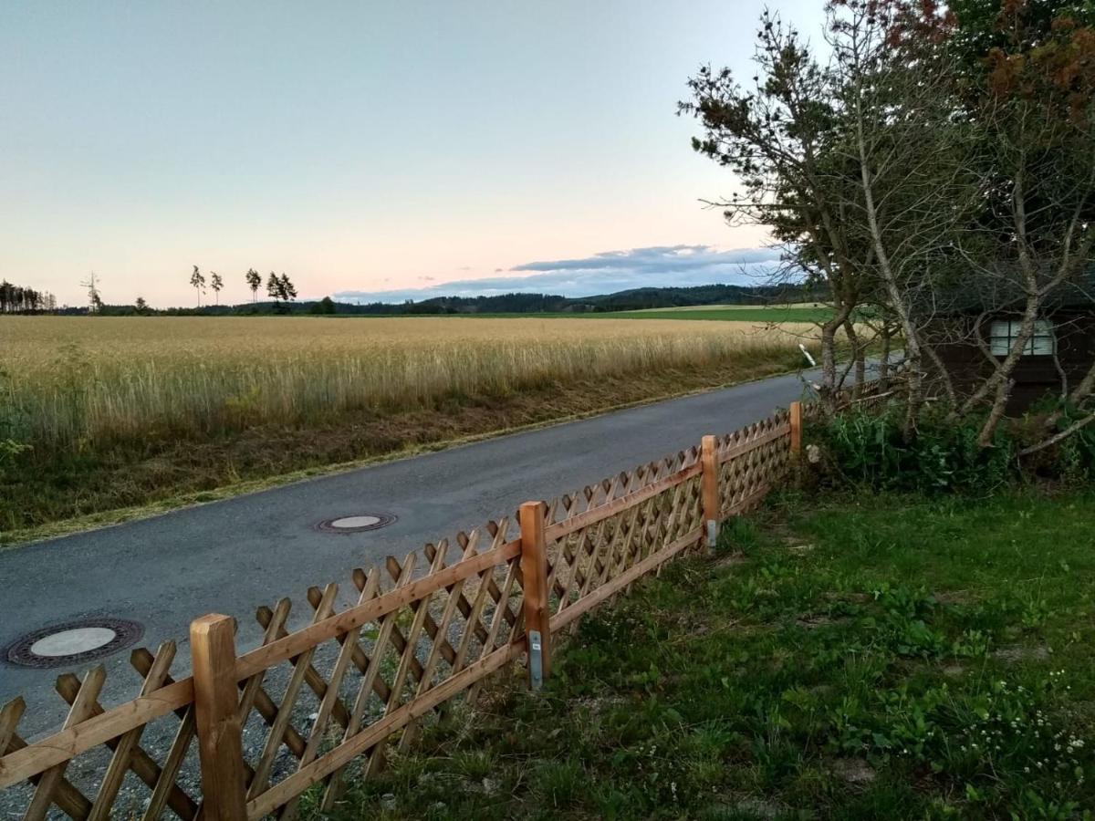 Haus Panoramablick Villa Medebach Eksteriør billede