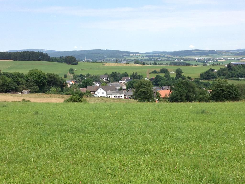 Haus Panoramablick Villa Medebach Eksteriør billede